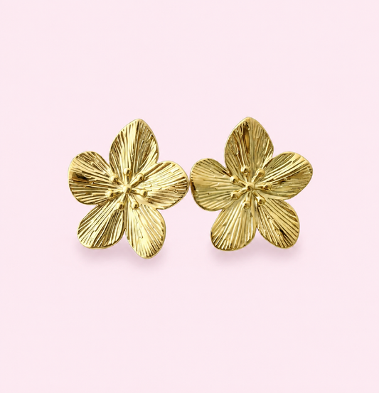 BOUCLES TAHITI